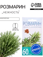 Семена Розмарин Нежность, 0,05г - Фото 1