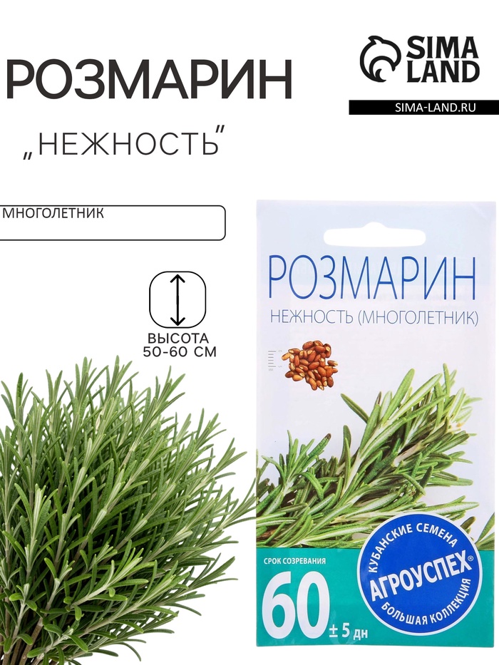 Семена Розмарин Нежность, 0,05г - Фото 1