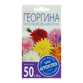 Семена цветов Георгина Кактусовидная смесь, О, 0,2 г