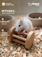 Игрушка для грызунов, погрызушка «Погремушка», 6×3.5 см - Фото 1
