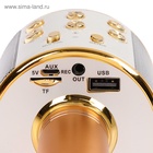 УЦЕНКА Микрофон для караоке Luazon LZZ-56, WS-858, 1800 мАч, жёлтый - Фото 6