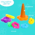 Пирамида «Уточка», 6 колец - фото 26884483