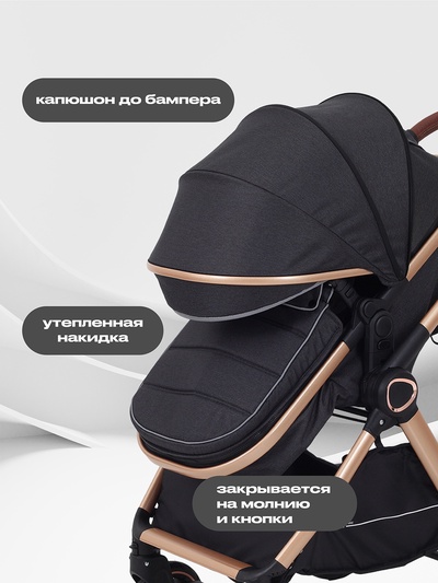 Коляска детская RANT basic "ROLLER GOLD" (2в1) RA161 черный