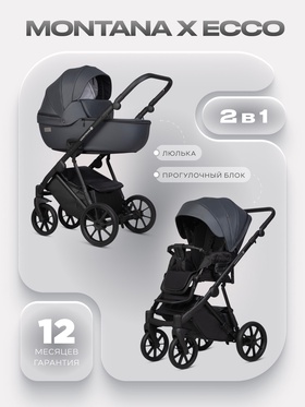 Коляска MONTANA X ECCO (2 в 1) (RIKO BASIC) 24 графит