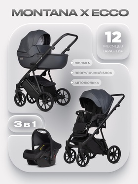 Коляска MONTANA X ECCO (3 в 1) (RIKO BASIC) 24 графит