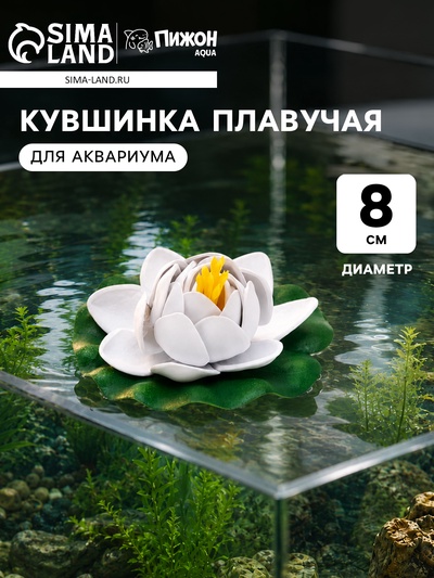 Кувшинка плавучая для аквариума, 8 см, белая