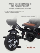 Велосипед детский трёхколёсный RANT basic RB252 DANDY, с родительской ручкой, диаметр колёс 10" и 8", чёрный - Фото 4
