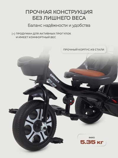 Велосипед детский трёхколёсный RANT basic RB252 "DANDY" черный
