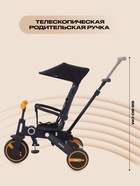 Велосипед детский трёхколёсный RANT RB202 BIRDIE, трансформер, с родительской ручкой, диаметр колёс 8" и 7", цвет графит - Фото 3