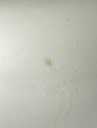 УЦЕНКА Лампа настольная RISALUX «Ассенса», Е14, 40 Вт, фисташковая, 13×13×22 см - Фото 3