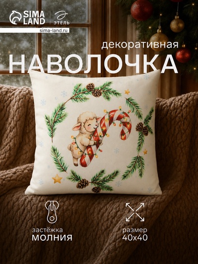 Наволочка декоративная «Этель» Sweety, 40×40 см, велюр
