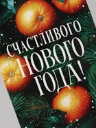 Конверт для денег «Счастливого нового года. Апельсины», 16.5×8 см - Фото 3