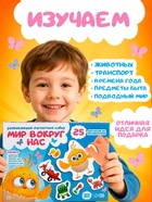 Развивающий магнитный набор «Мир вокруг нас», «ЦЫП-ЦЫП» - фото 809737577