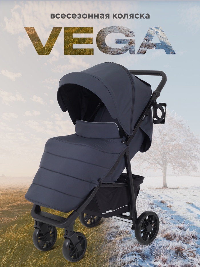 Коляска детская RANT basic VEGA RA105 графит