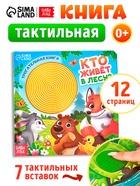 УЦЕНКА Трогательная книга "Кто живёт в лесу?" - Фото 1