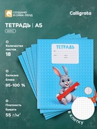 Тетрадь 18 листов в клетку Calligrata KIDS, блок офсет, 5 В МИКС 10991164