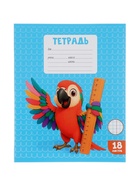 Тетрадь 18 листов в клетку Calligrata KIDS, блок офсет, 5 В МИКС 10991164