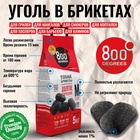 Угольные брикеты «Долгое Горение» 800 Degrees, мешок, 5 кг - фото 809739714