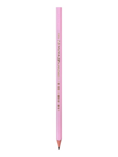 Карандаш чернографитный BIC HB Evolution «Пастель», пластиковый