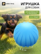 Игрушка для собак с пищалкой «Мячик», 5,5 см, голубая - Фото 1