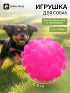 Игрушка для собак «Мячик», 6.5 см, пищащая, фуксия - фото 809742665