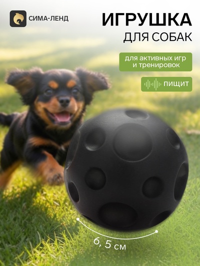 Игрушка для собак с пищалкой «Мячик планета», 6,5 см, черная