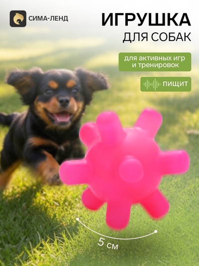 Игрушка для собак с пищалкой «Мячик, шипы», 5 см, фуксия