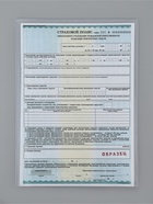 Обложки для свидетельства, набор 3 штуки, ПВХ, 280 мкм, 305×220 - фото 809743639