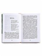 Внеклассное чтение «Повести Белкина» Пушкин А.С. 6+ - Фото 4