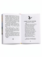 Внеклассное чтение «Слово о полку Игореве» 6+ - Фото 4