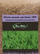 Газонная трава «Мятлик луговой» 0.3 кг - Фото 3