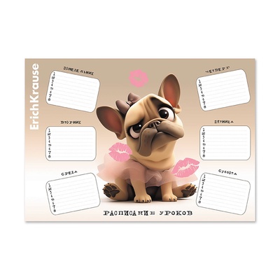 Расписание уроков A4, ErichKrause Frenchie