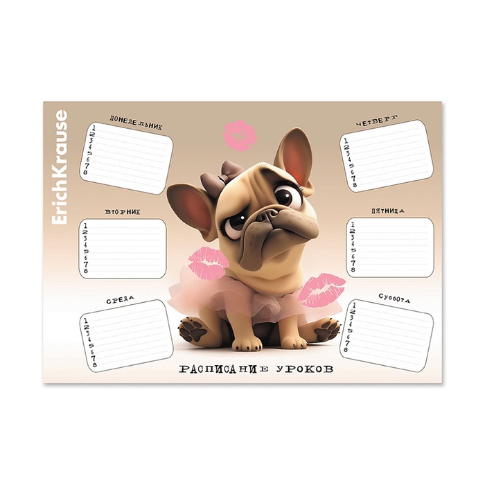 Расписание уроков A4, ErichKrause Frenchie