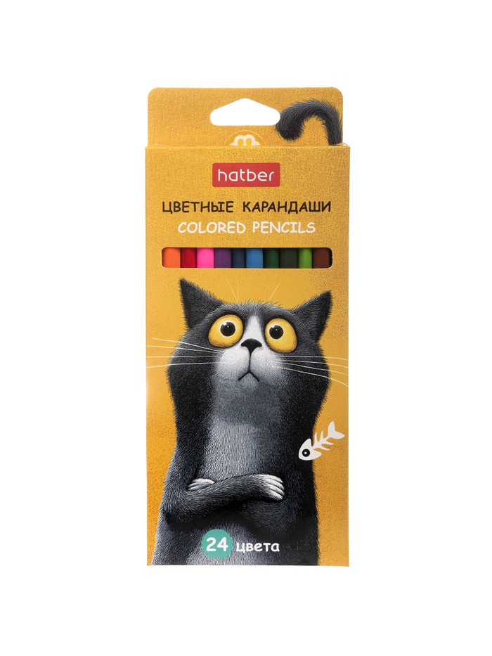 Карандаши 24цв, Hatber, заточ, трехгр, коробка, европодвес 94021