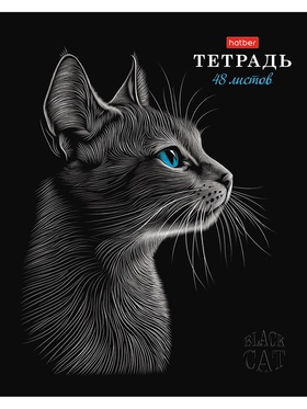 Тетрадь 48л А5ф клетка 60-65г/кв.м на скобе Обл. мел.картон мат.ламин. 3D лак МИКС