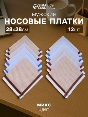 Платки носовые мужские «Этель. Клетка», 28×28 см, хлопок 100%, МИКС