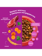 Сухой корм Whiskas для кошек, подушечки с нежным паштетом, говядина, 800 г - Фото 4