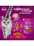 Сухой корм Whiskas для кошек, подушечки с нежным паштетом, говядина, 800 г - Фото 6