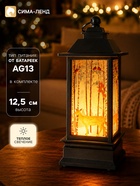 Фонарь светодиодный, декоративный, 1 LED, от батареек 3×AG13, свечение тёплое белое - фото 809748363