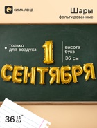 Воздушные шары фольгированные 14" «1 Сентября» цвет золото - фото 809748839
