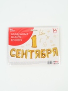 Воздушные шары фольгированные 14" «1 Сентября» цвет золото - фото 809748840