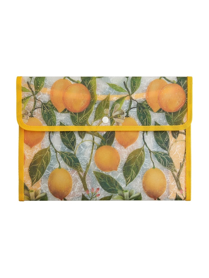 Папка-конверт с окантовкой А4 FLORA.PARADISE.LEMONS¶