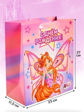 Пакет подарочный «Winx», ML  23 × 27 × 11,5, см