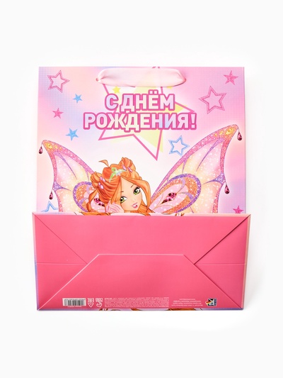 Пакет подарочный «Winx», ML  23 × 27 × 11,5, см