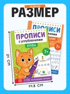 Набор прописей «Для дошкольников», 4 книги, ручка+стержни - фото 809773507