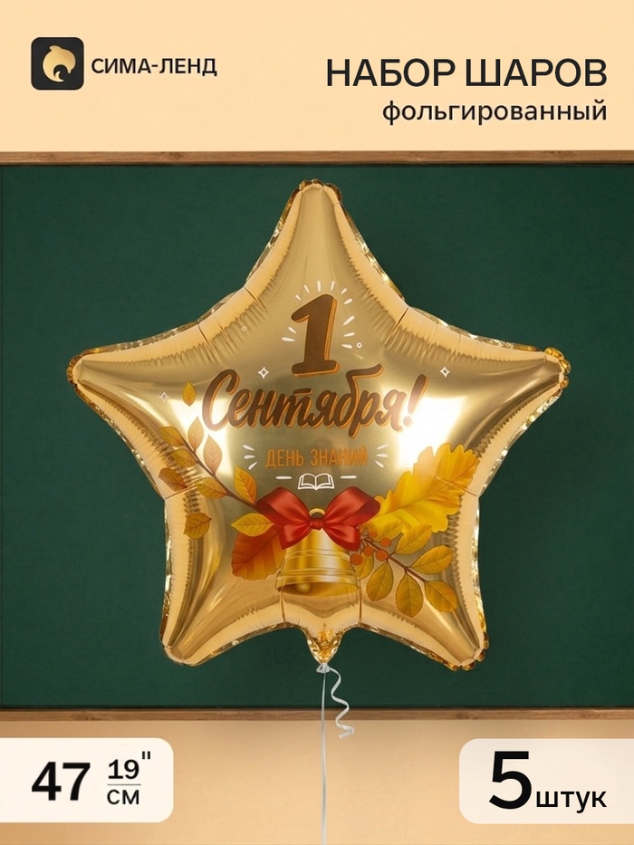 Воздушный шар фольгированный 19 «1 сентября», набор 5 шт.