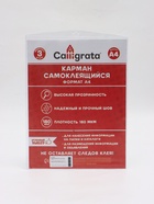 УЦЕНКА Карман самоклеящийся А4, 223×303 мм, Calligrata, комплект 3 штуки, на лицевую сторону папок - Фото 2