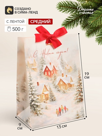 Пакет подарочный с лентой «С Новым годом», зимняя деревушка, 13×19×9 см
