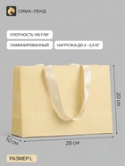 Пакет подарочный, ламинированный, горизонтальный, «Молочный», 28×20×10 см - фото 809776338