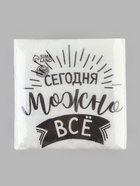 Салфетки бумажные однослойные «Сегодня можно всё», 24×24 см, набор 100 шт. - Фото 3